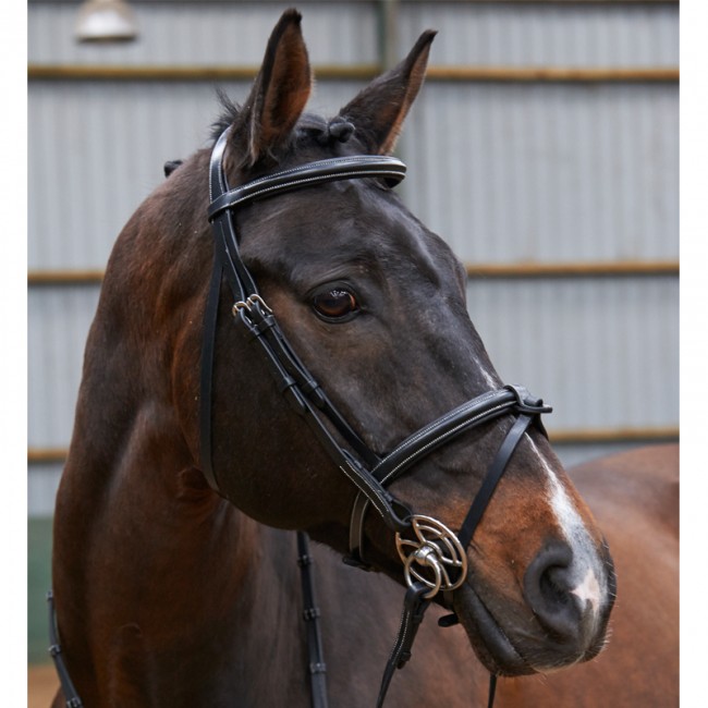 BR051A - Eastwood Raised Flash Bridle With Reins